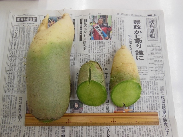 DSCN0048.JPG
