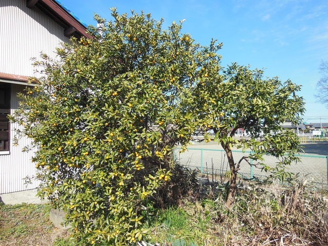DSCN0727.JPG